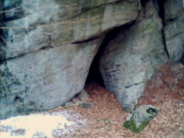 ANOTHER FOOLS CREEK AREA ROCK CAVE 3/4/01